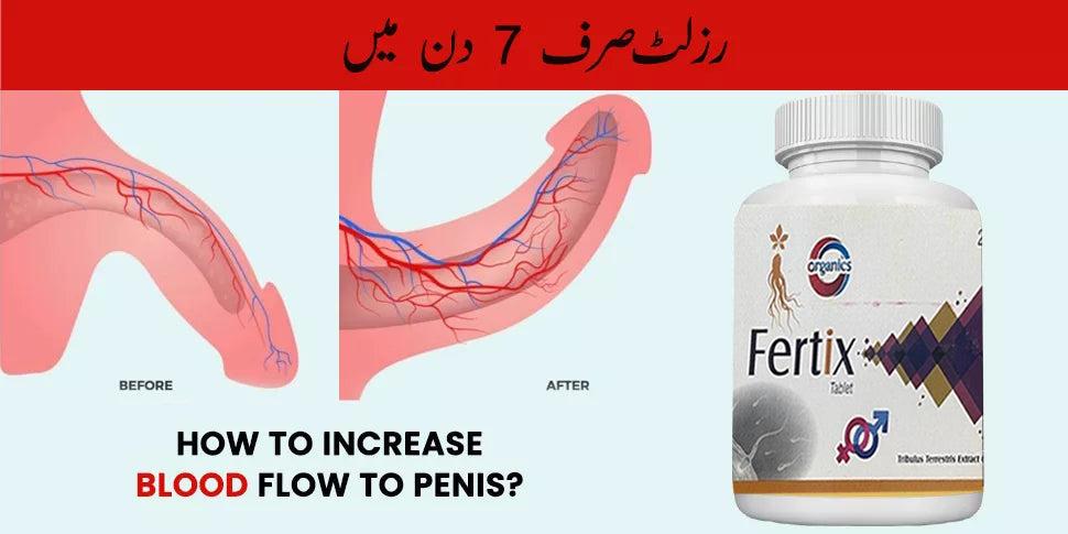 FERTIX - BOOSTER XL WORLD NO#1 MEN POWER CAPSULES - 100% Herbal - PCSIR Certified